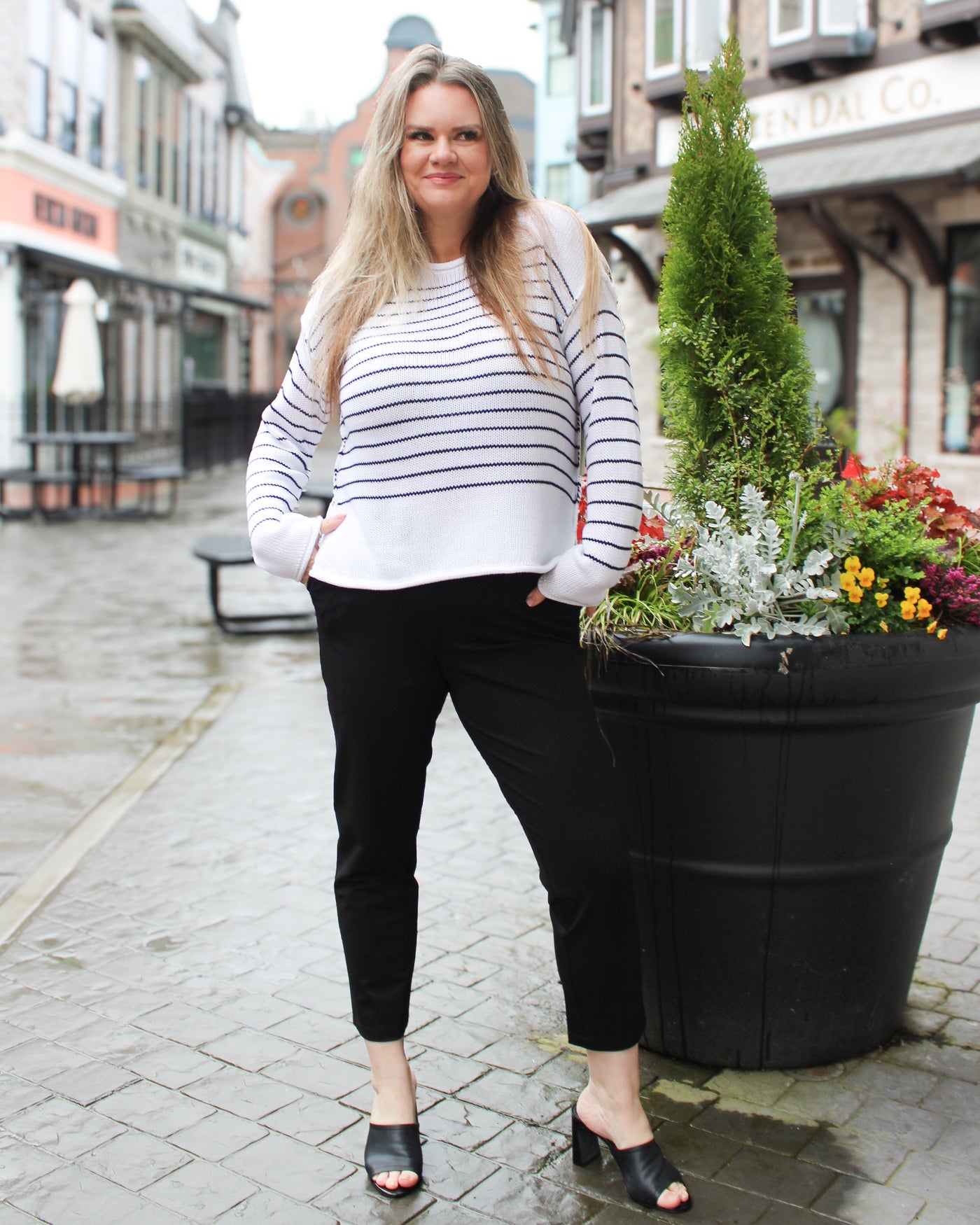 Pull On Compression Knit Ankle Pant