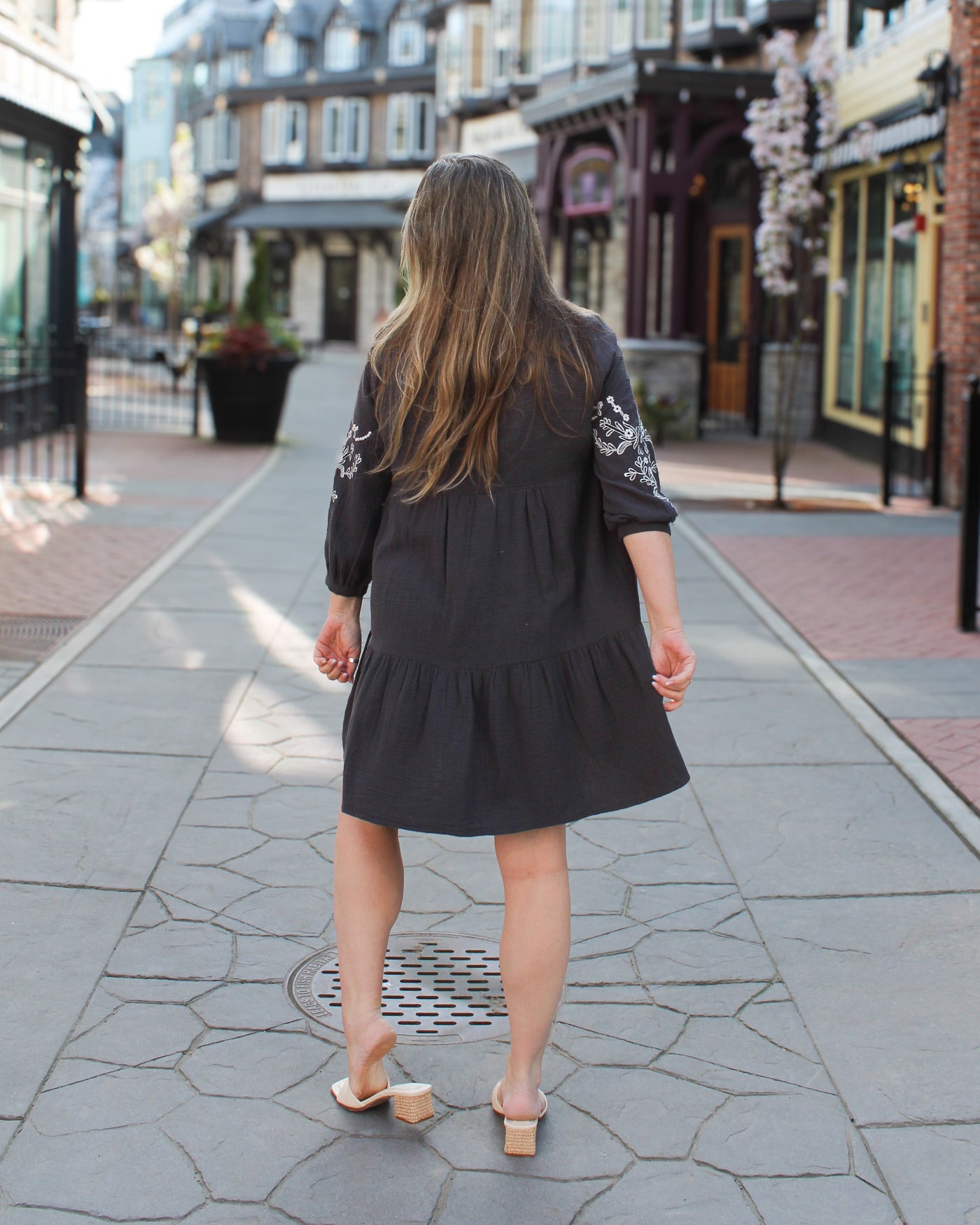 Rua Embroidered Dress