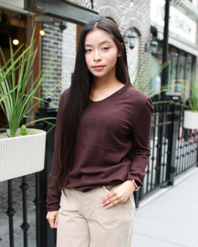 Basic Long Sleeve V-Neck Sweater