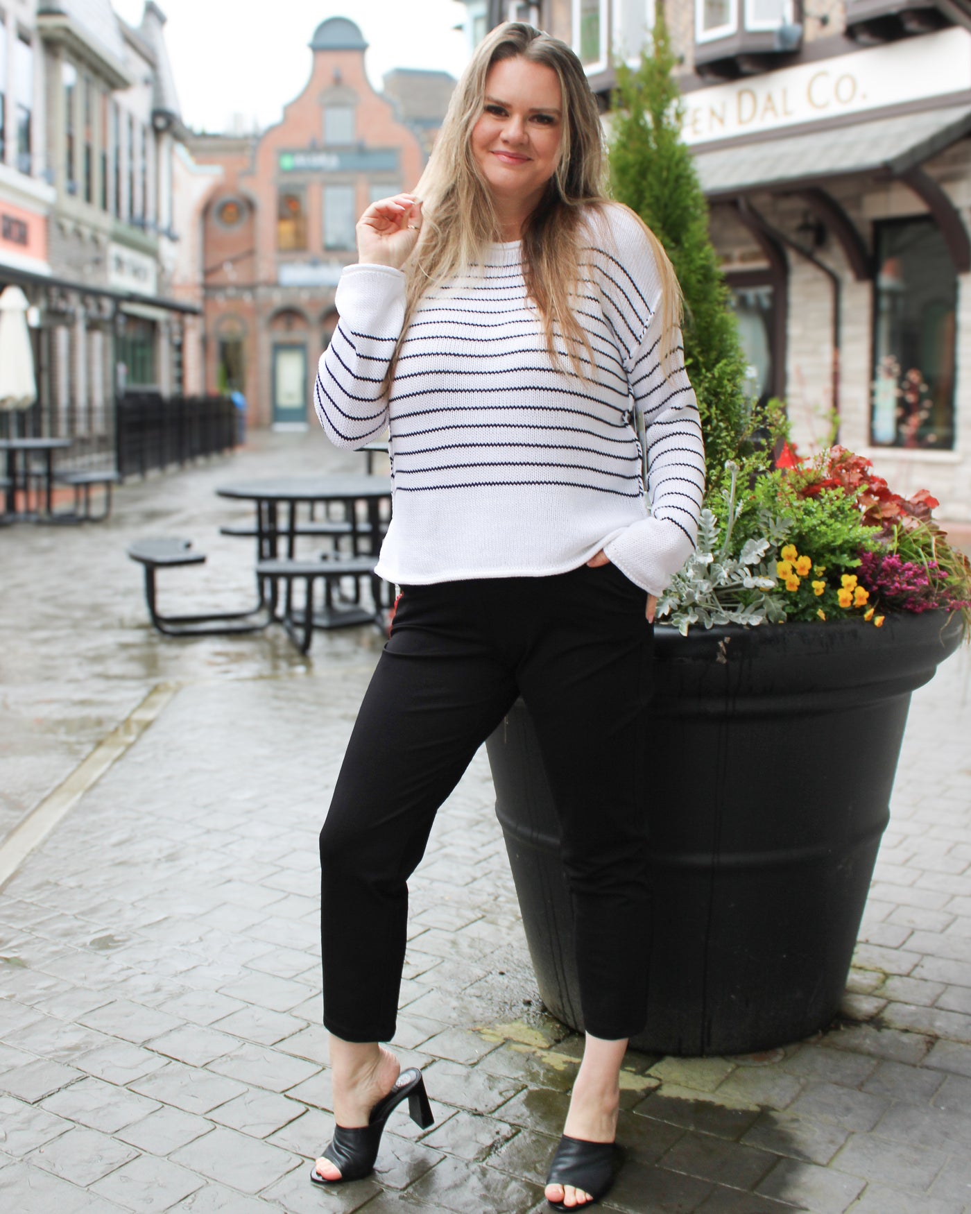 Pull On Compression Knit Ankle Pant