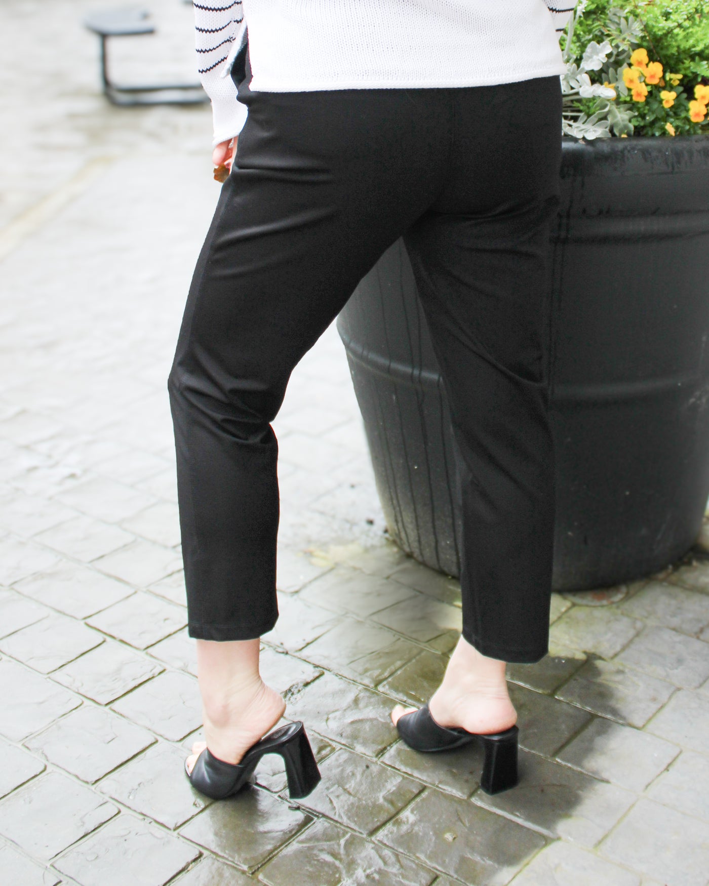 Pull On Compression Knit Ankle Pant