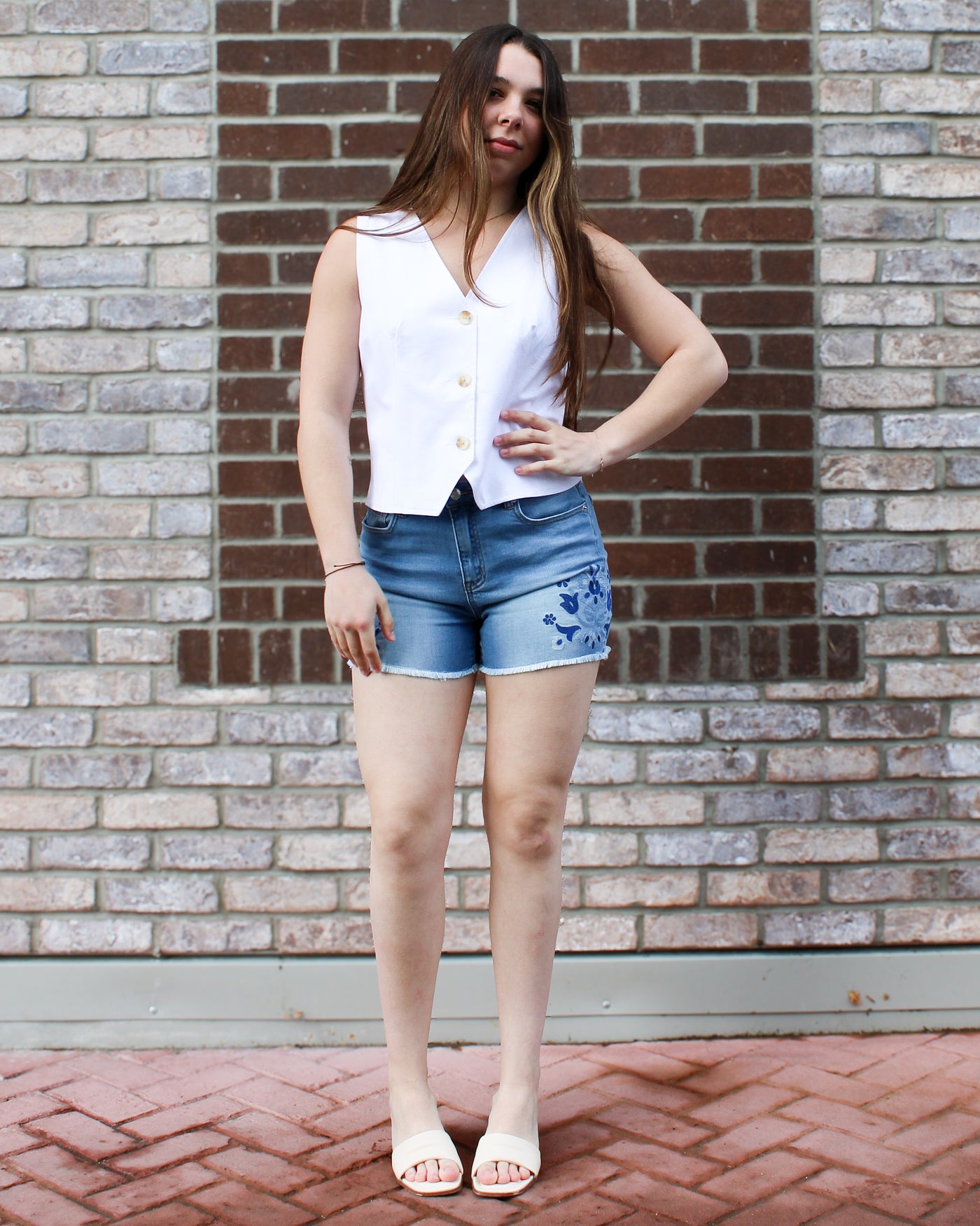 Audrey Embroidered Denim Shorts