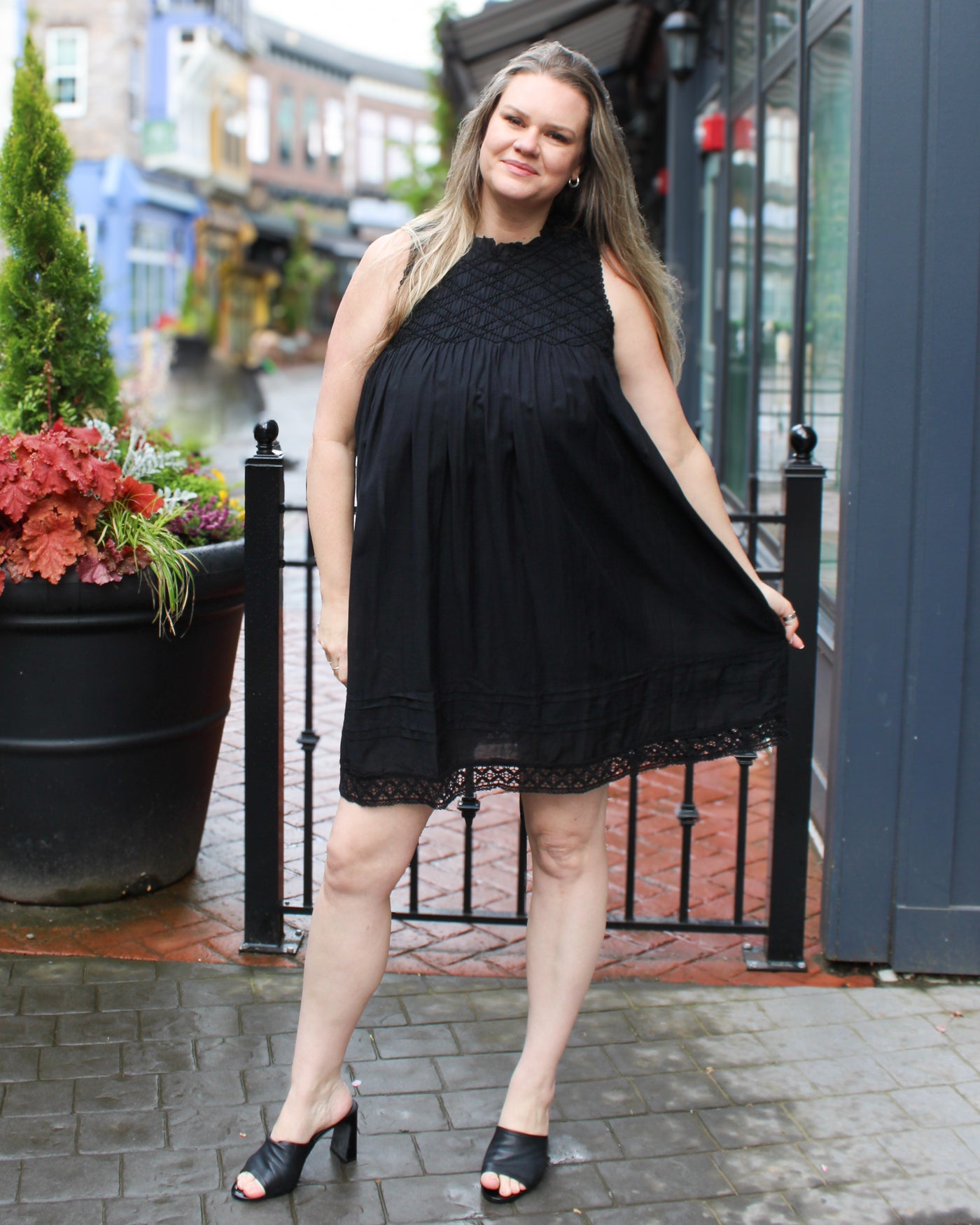 Lined Sleeveless Dress