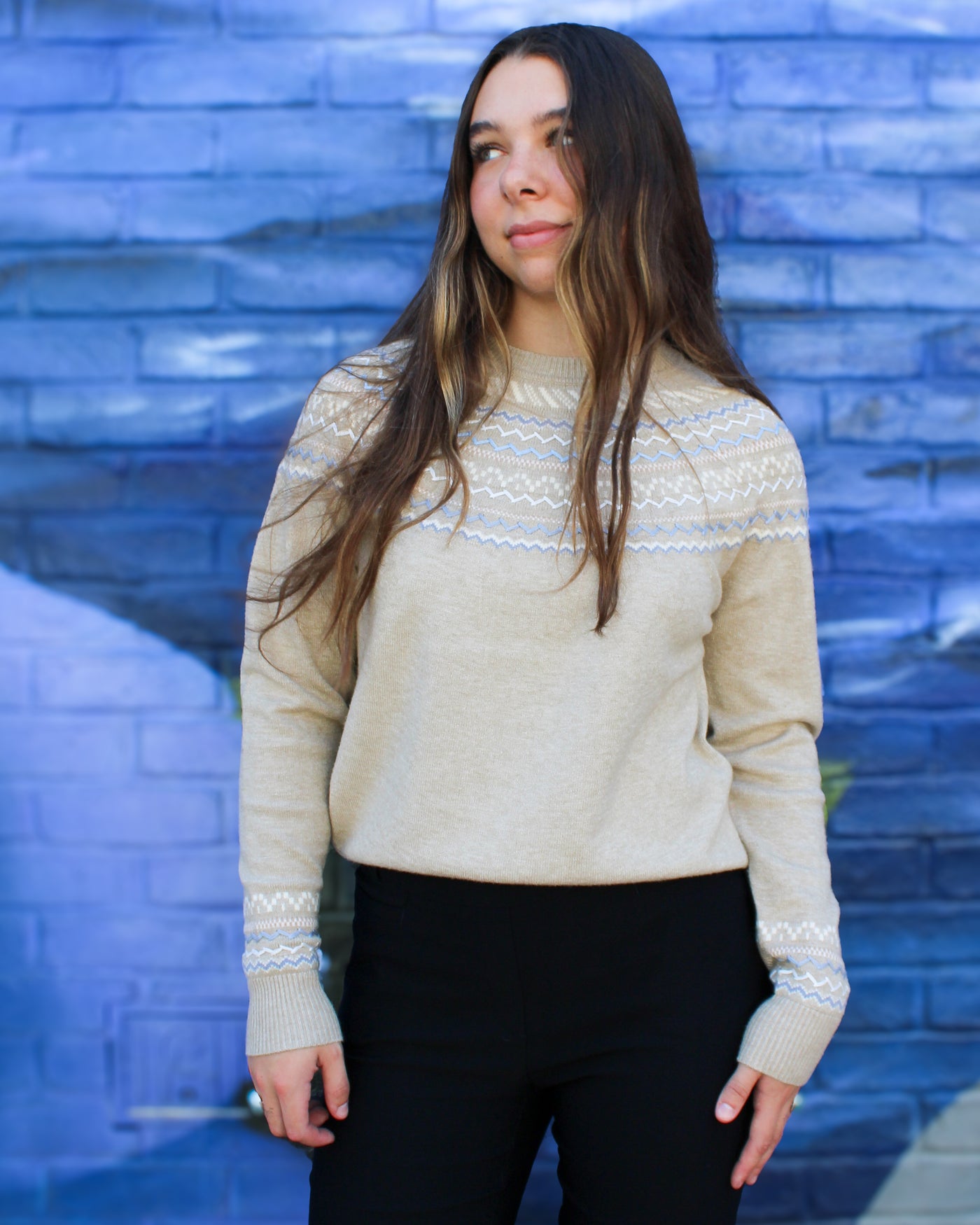 Raglan Jacquard Sweater