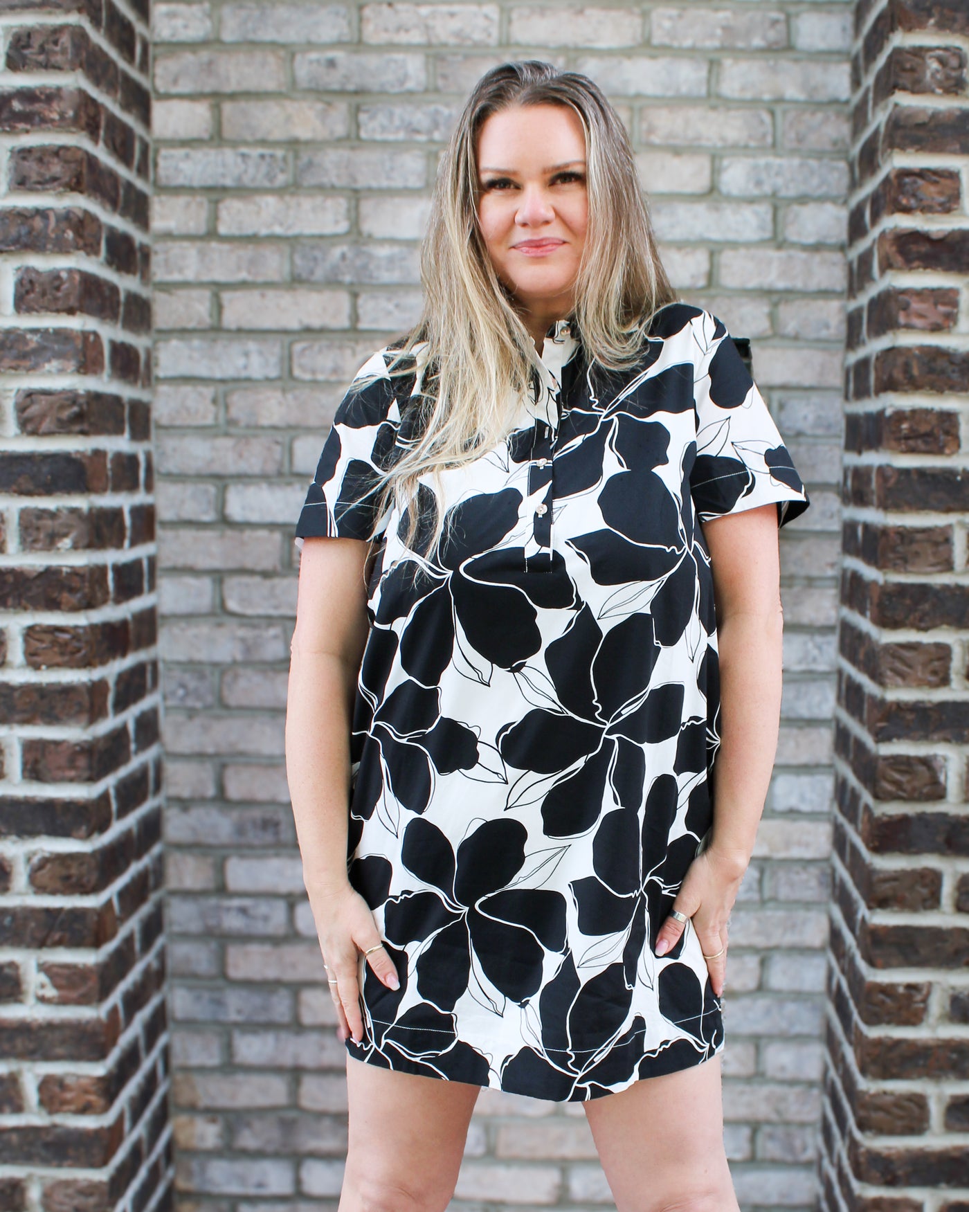 Button Up Collar Dress