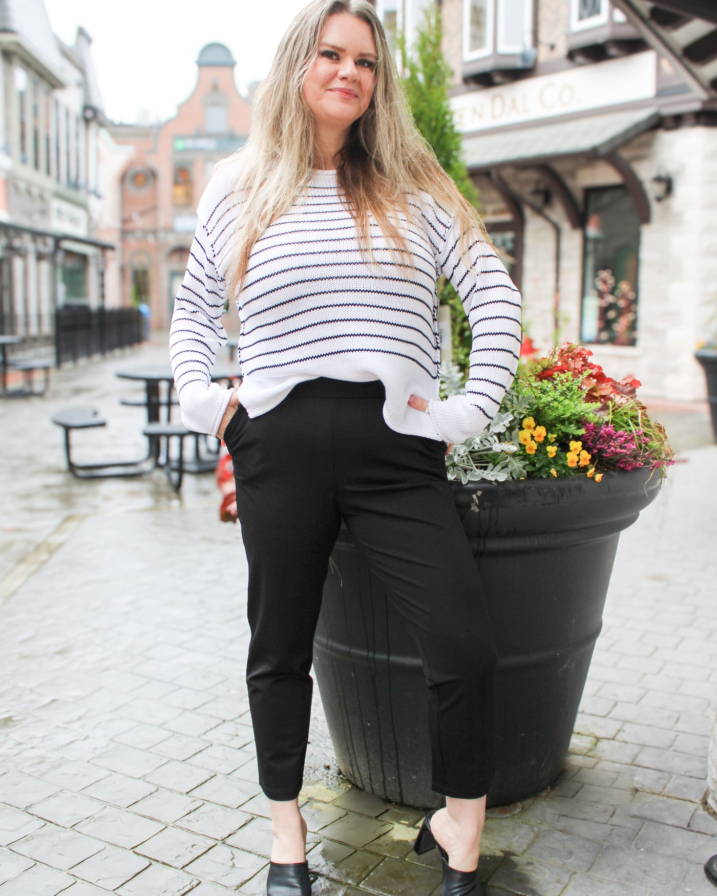 Pull On Compression Knit Ankle Pant